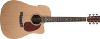 stagg acoustic and electric acoustic guitar